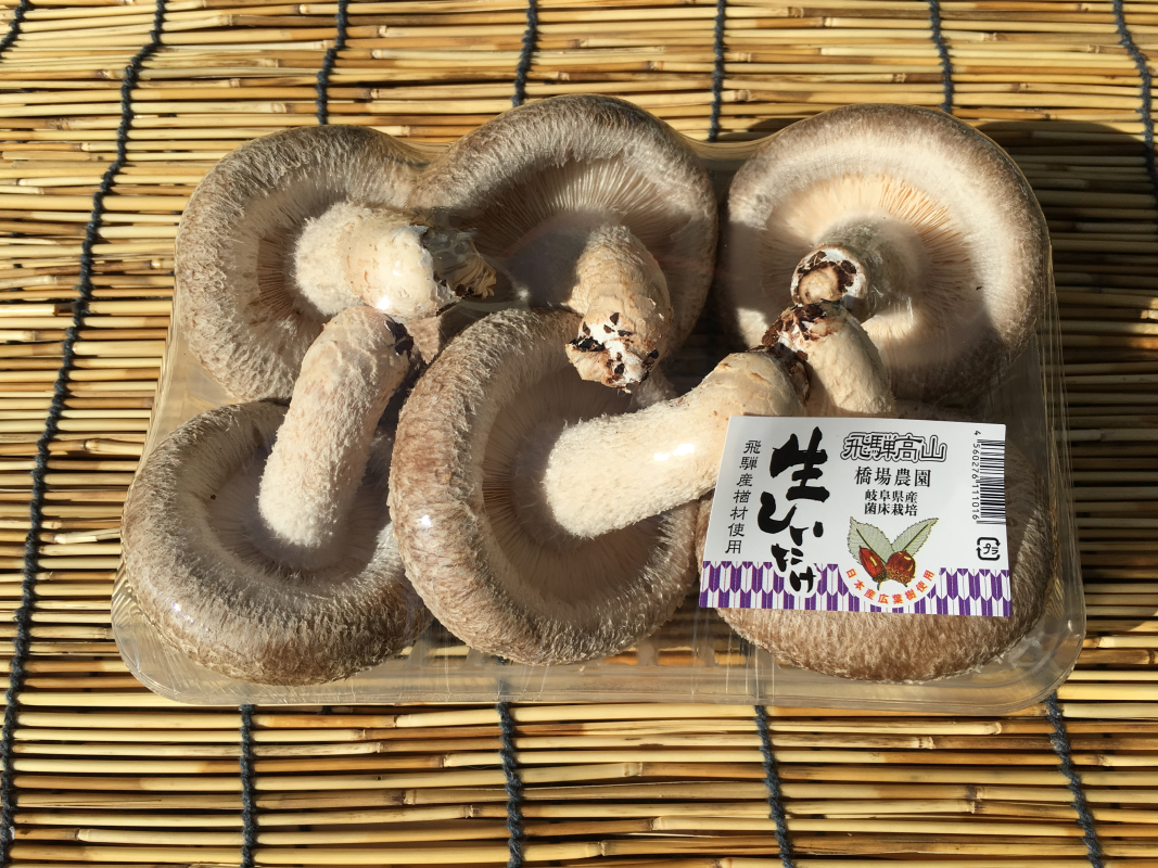 しいたけ