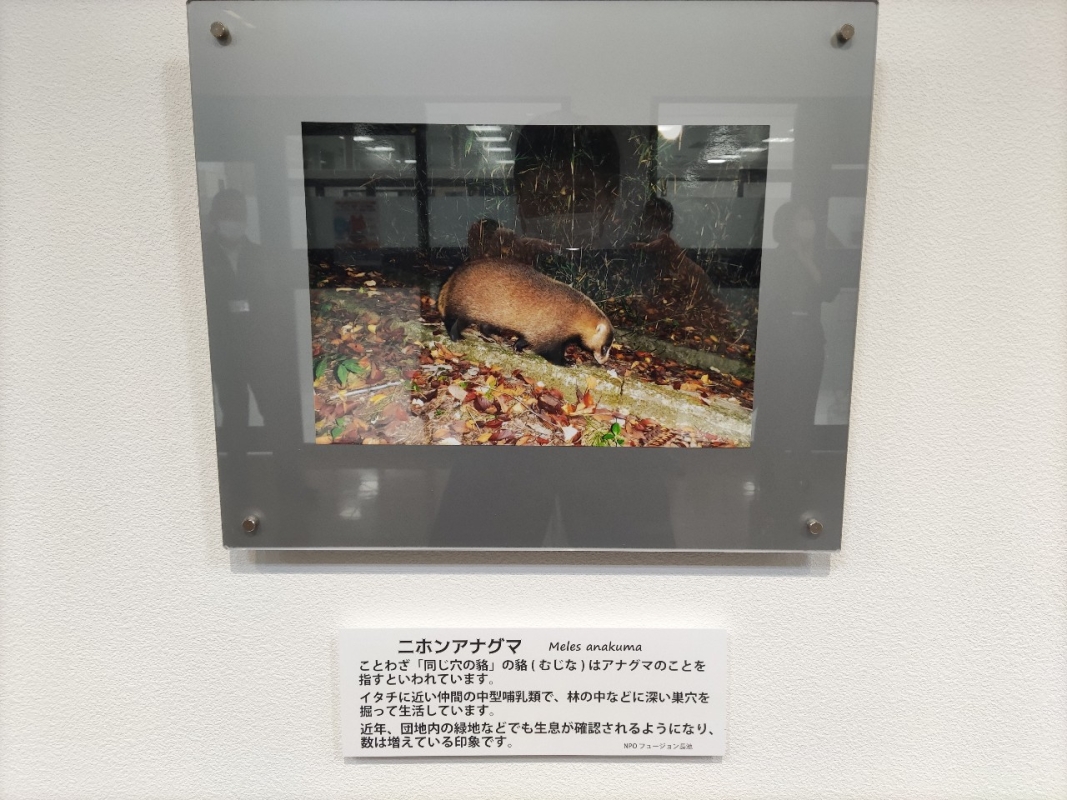 展示一部